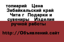 топиарий › Цена ­ 500 - Забайкальский край, Чита г. Подарки и сувениры » Изделия ручной работы   